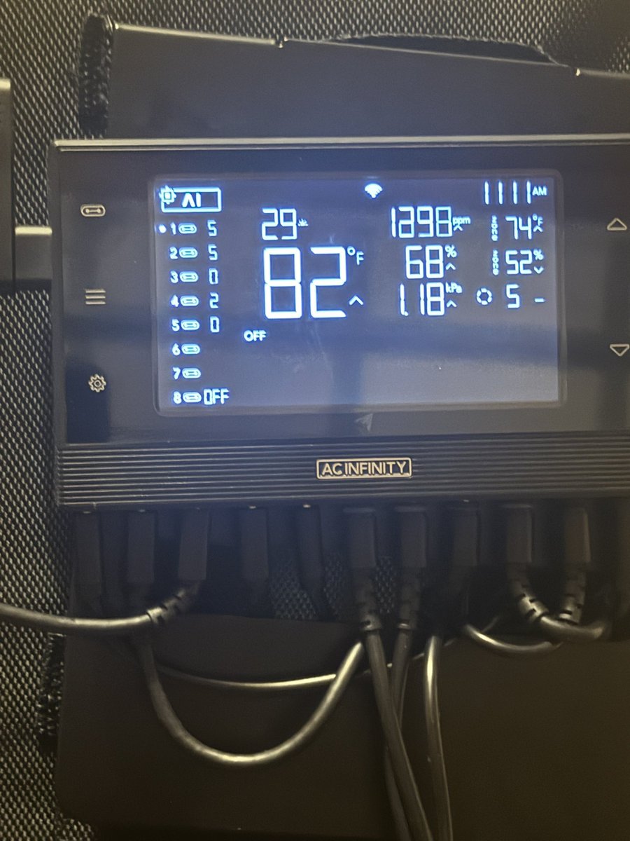 SlimmBankroll's tweet image. Ok I’m reloaded 🔫.. @jmaccTurnUp11 
🍊🍪 Orange Cookie🍊🍪
My girls ❤️ to flip on me.
Patience is a virtue my plants have taught me a lot..
#indoor #homegrown #za #grower #yolo #astroskeepers