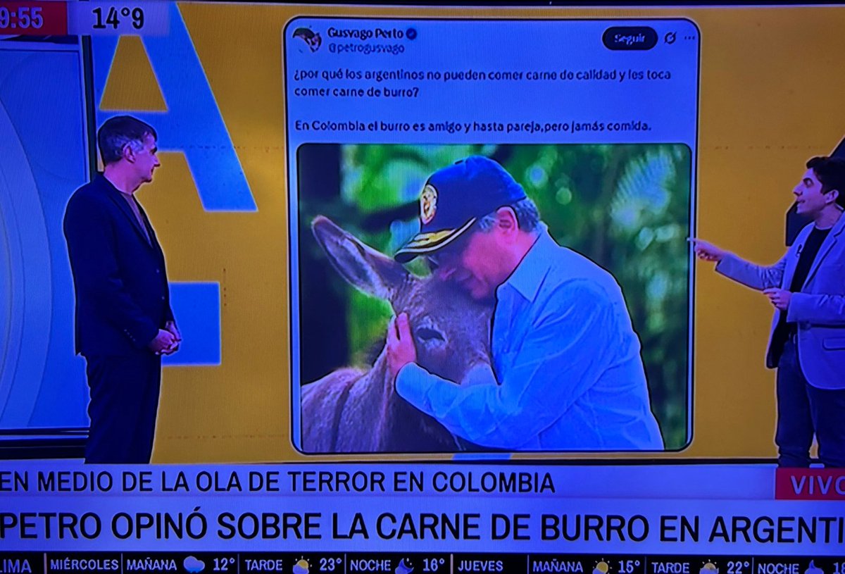 Dwight 🕊️⚡ tweet media