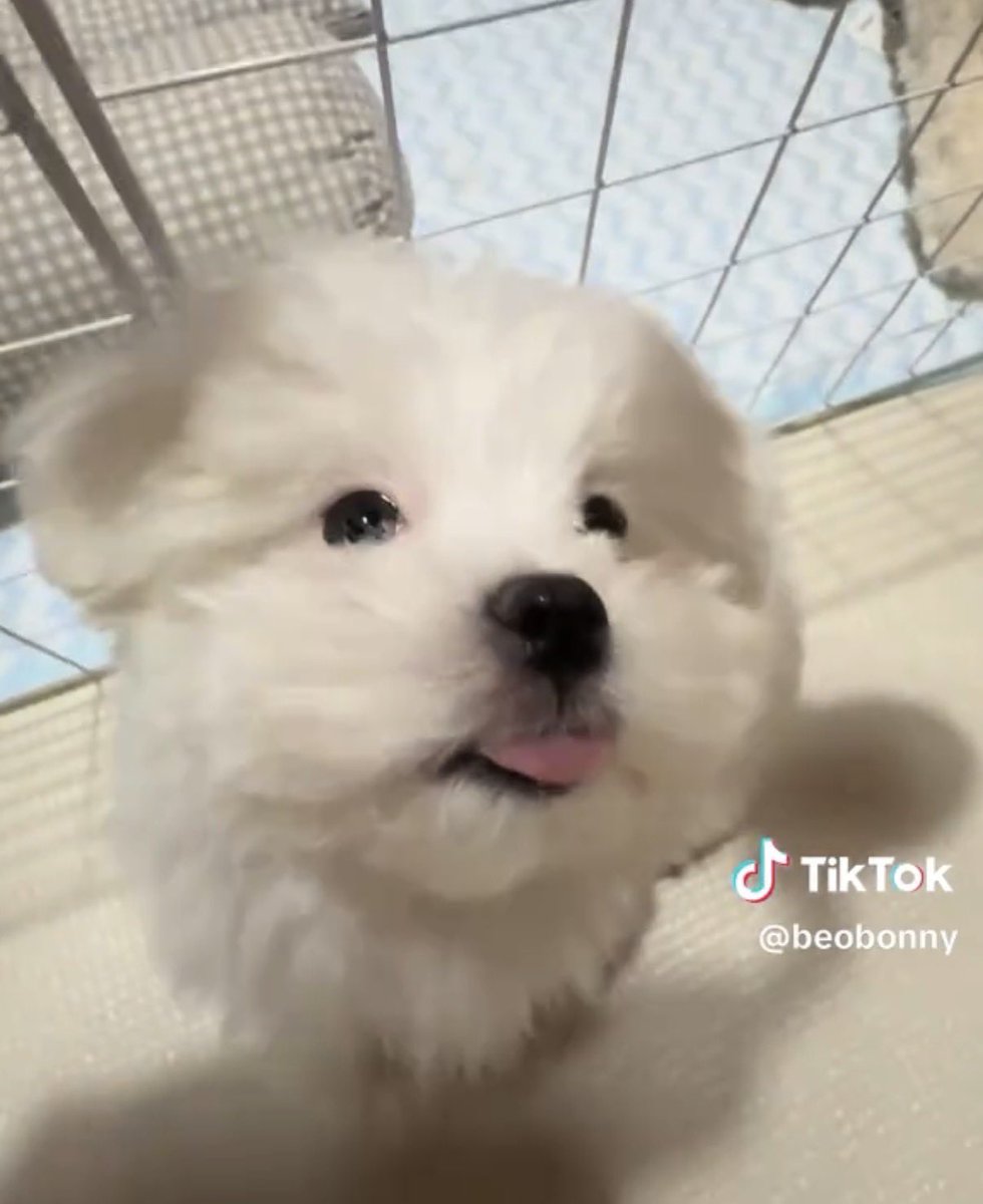 romi ઇଓ⭒‧ tweet media