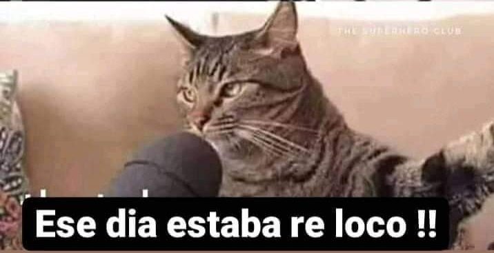 RSiriusX tweet media