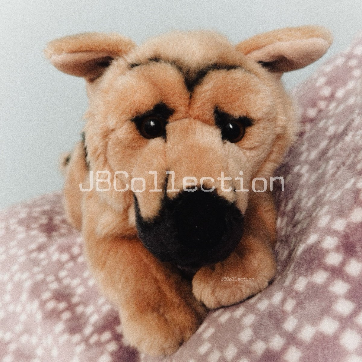JBCollection's tweet image. probably one of my fav plushies i own! 

🐾Playkids German Shepherd ~ rare/htf

#rare #plushies #collection #collector #germanshepherd