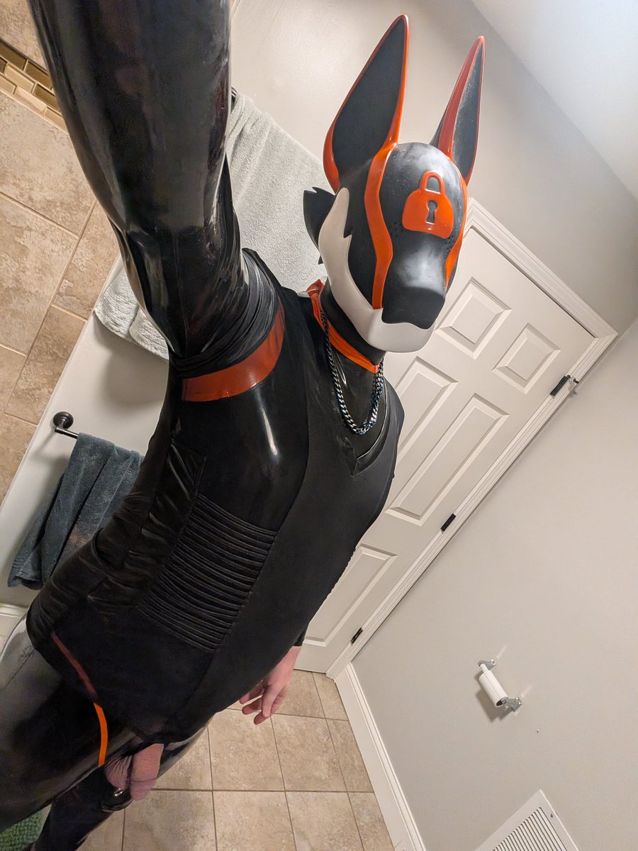 FennecOverlord tweet media