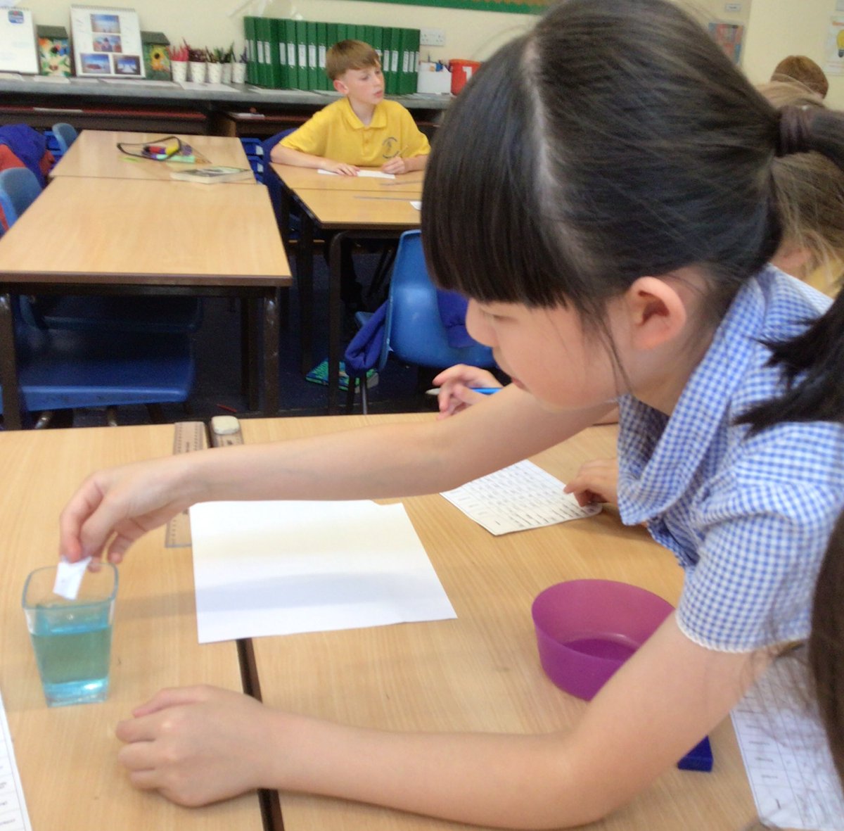 Canon Sharples Year Five tweet media