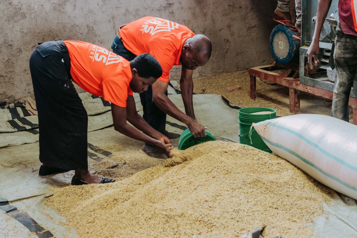 UNWomenBurundi's tweet photo. This initiative strengthens economic resilience by supporting income-generating activities, creating sustainable jobs for #women and #youth, and fostering inclusive, gender-sensitive solutions. It also reinforces social cohesion between #refugees and host communities. #Solidarity https://t.co/HA5DvDJrMW