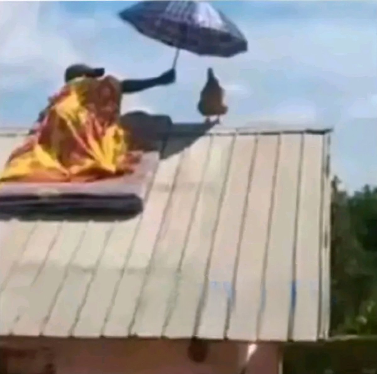 Kaka mkubwa tweet media