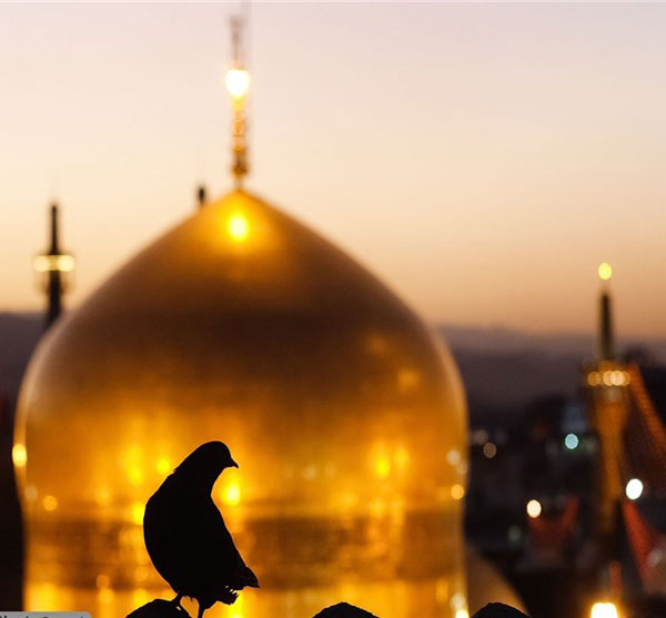 آمــد ای شــاه پــنـاهــش بــده...

#ایران_امام_رضا
#باب_الرضا