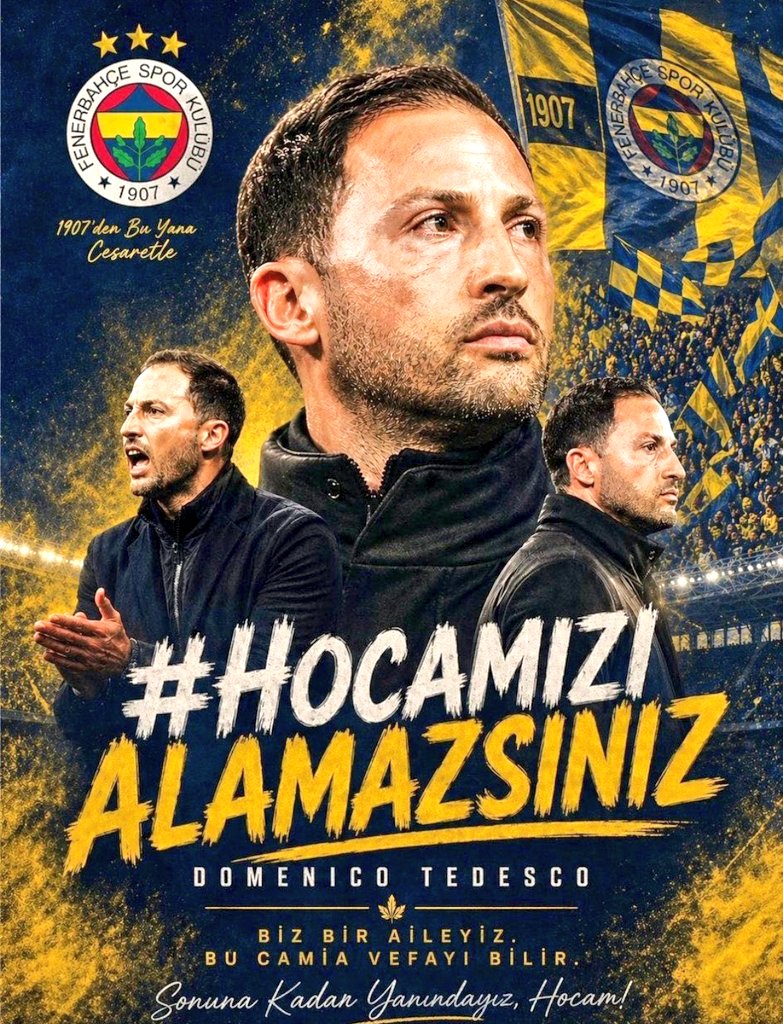 TEDESCO ⭐ tweet media