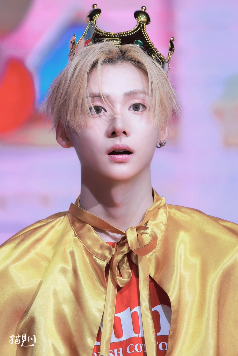 遊歩、 tweet media