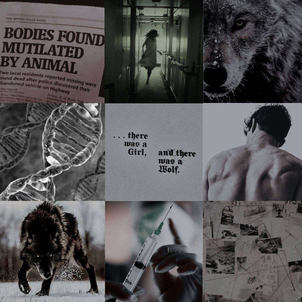 alex 🤪 tweet media