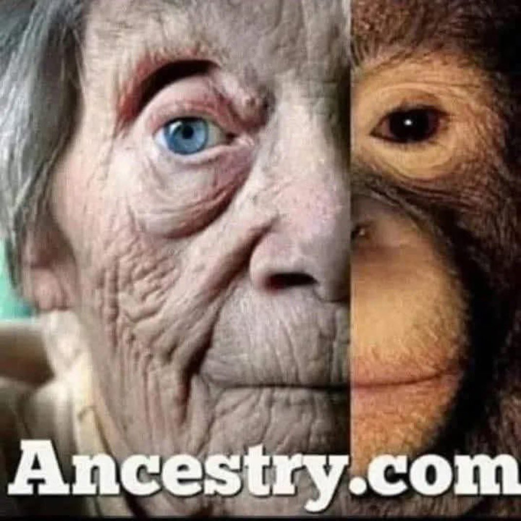 Destinie tweet media