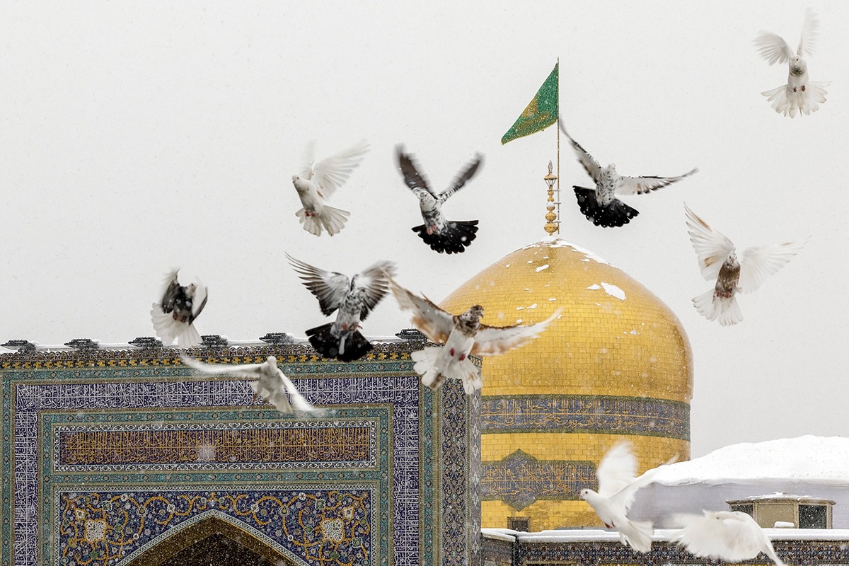 وقتی دل به سمت مشهد می‌تپد، یعنی نام ضامن آهو در قلبت زنده است.
ایران با وجود شاه خراسان همیشه روشن است.
#ایران_امام_رضا
#باب_الرضا