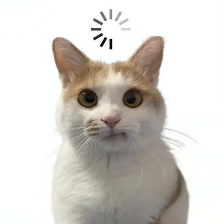 ᴘɪᴄʜᴀ tweet media