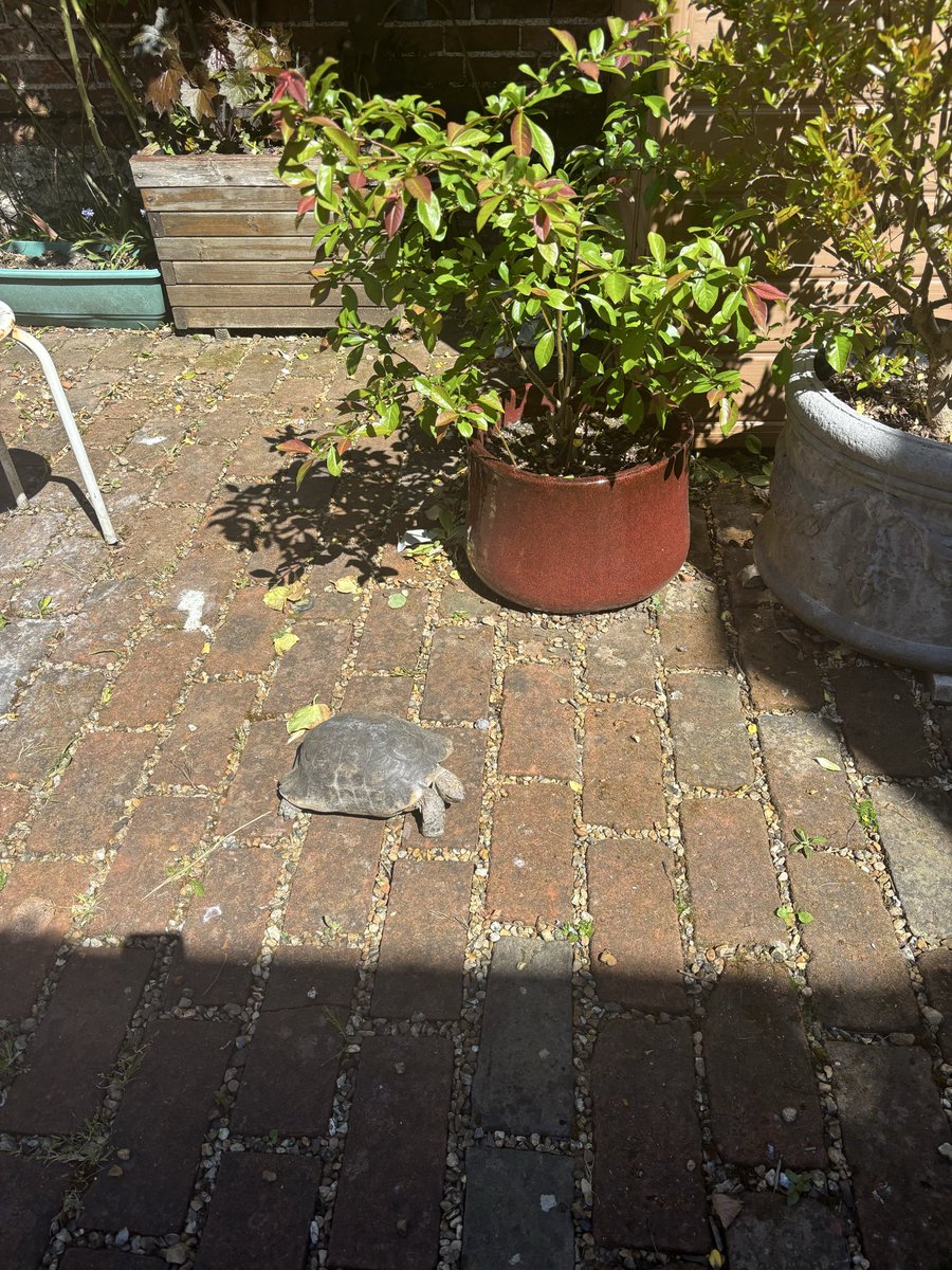 Kate Battrick tweet media