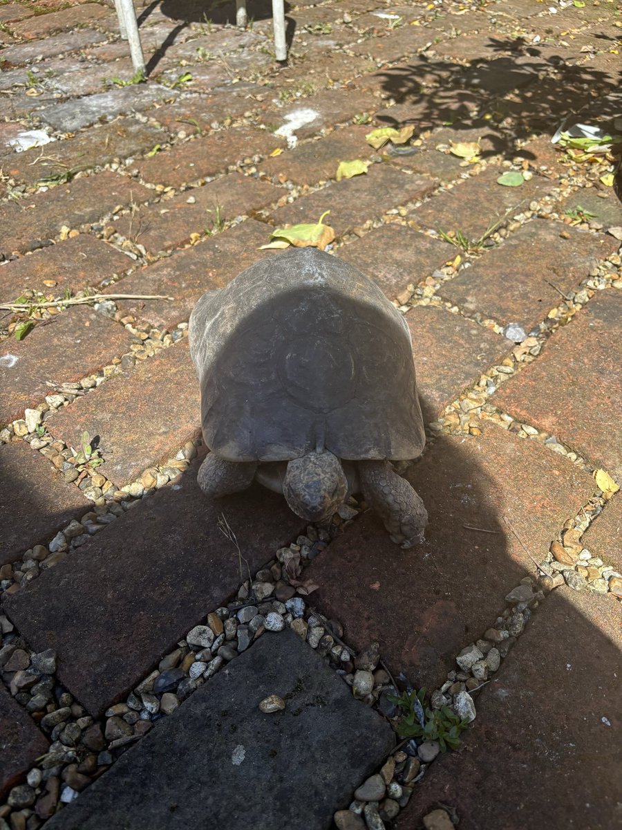 Kate Battrick tweet media