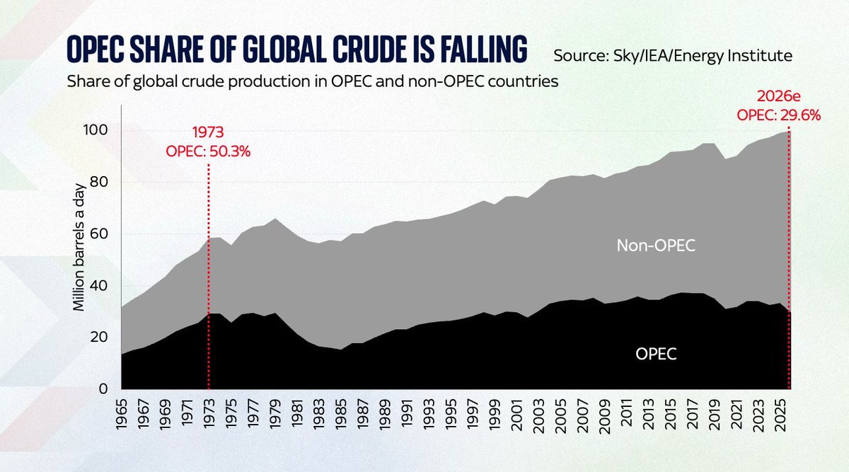 Jack Prandelli tweet media