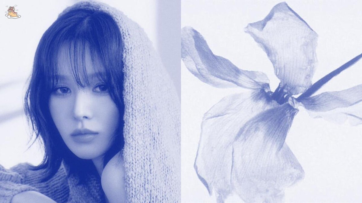 SOC-IE 💛 ˚☽˚.⋆ tweet media