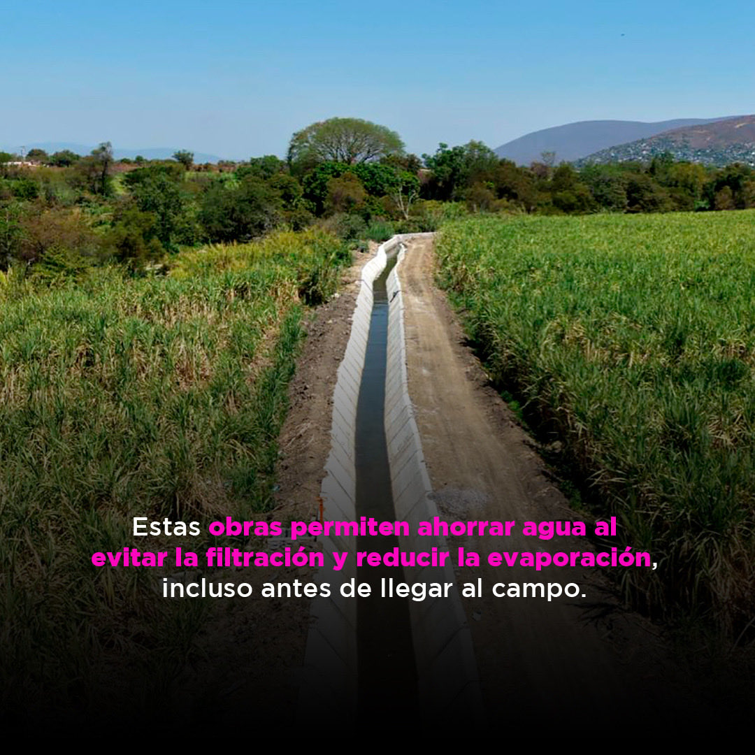 conagua_mx's tweet photo. ¡Nuestro programa de tecnificación del campo es único en el mundo! 

Y es porque el agua que se ahorra gracias a la modernización de los sistemas de riego se destinará para consumo humano. https://t.co/74zWpX8Ui1