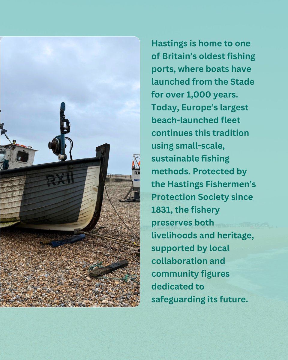 sussex_ifca's tweet image. For 1,000+ years, boats have launched from the Stade in #Hastings Today, Europe’s largest beach-launched fleet continues the tradition with small-scale, sustainable fishing. 
#hastingsfishermensprotectionsociety
Read more: instagram.com/p/DXuEzpRiM_g/…