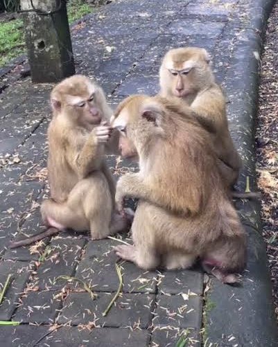 𝙉𝙖𝙢𝙬𝙝𝙭𝙣 tweet media