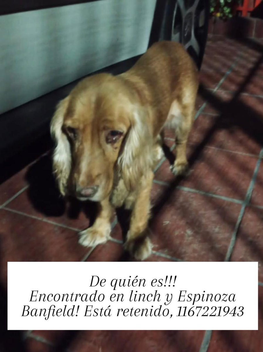 RAQUEL TERESITA MAITA tweet media