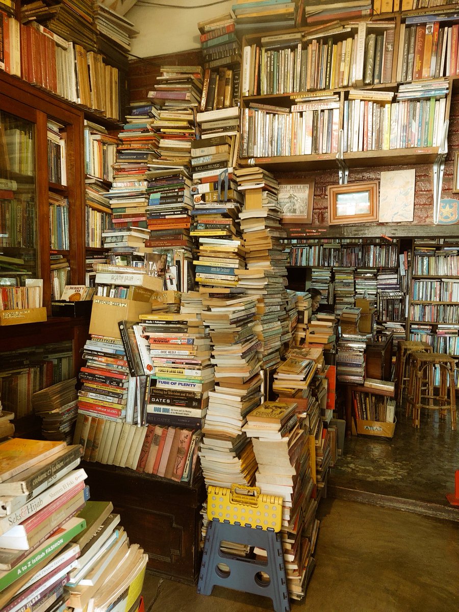 yaf🍅⭐️ tweet media