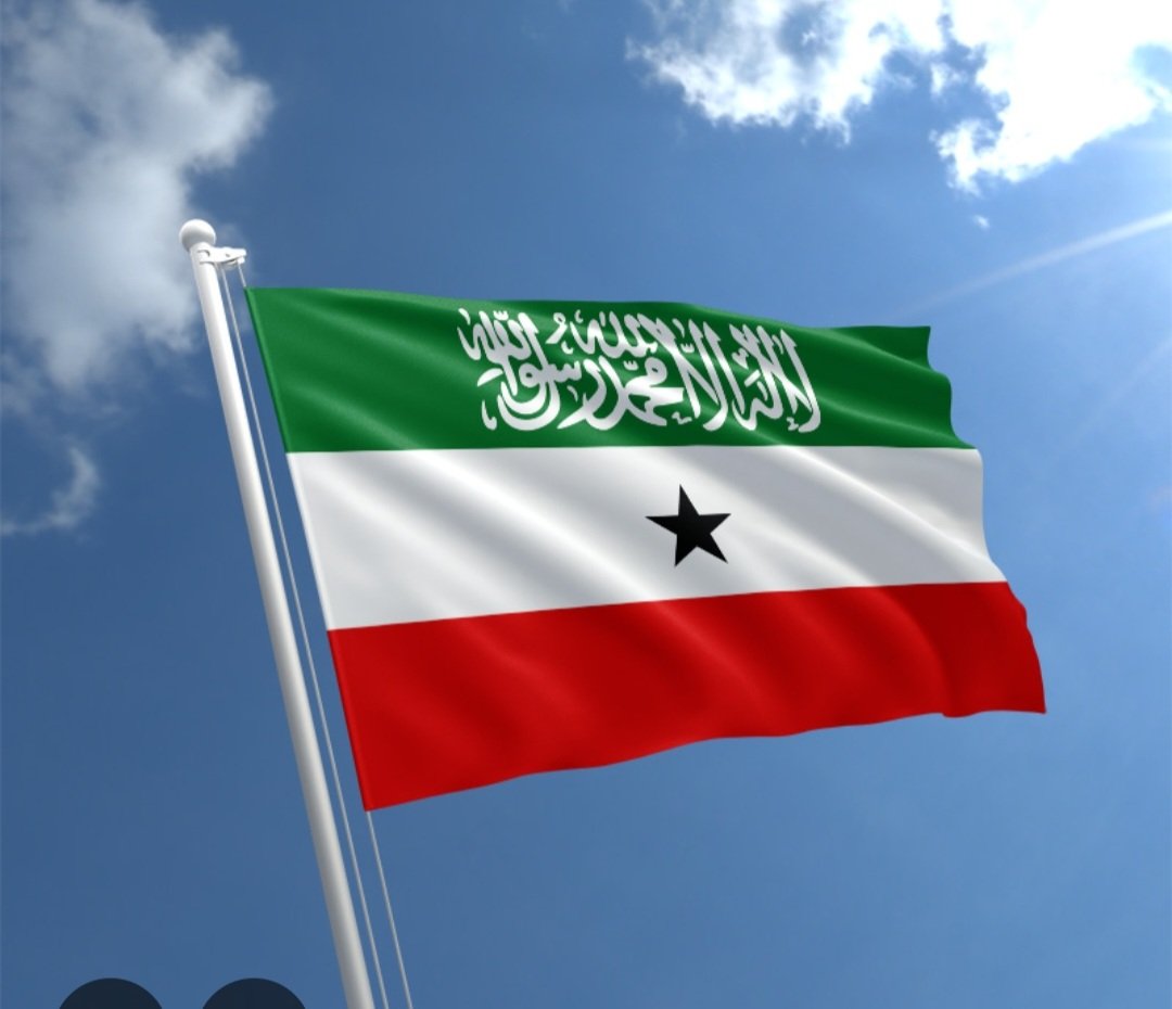 recognizeSL's tweet image. #Recognition and #Resilience 
#Somaliland