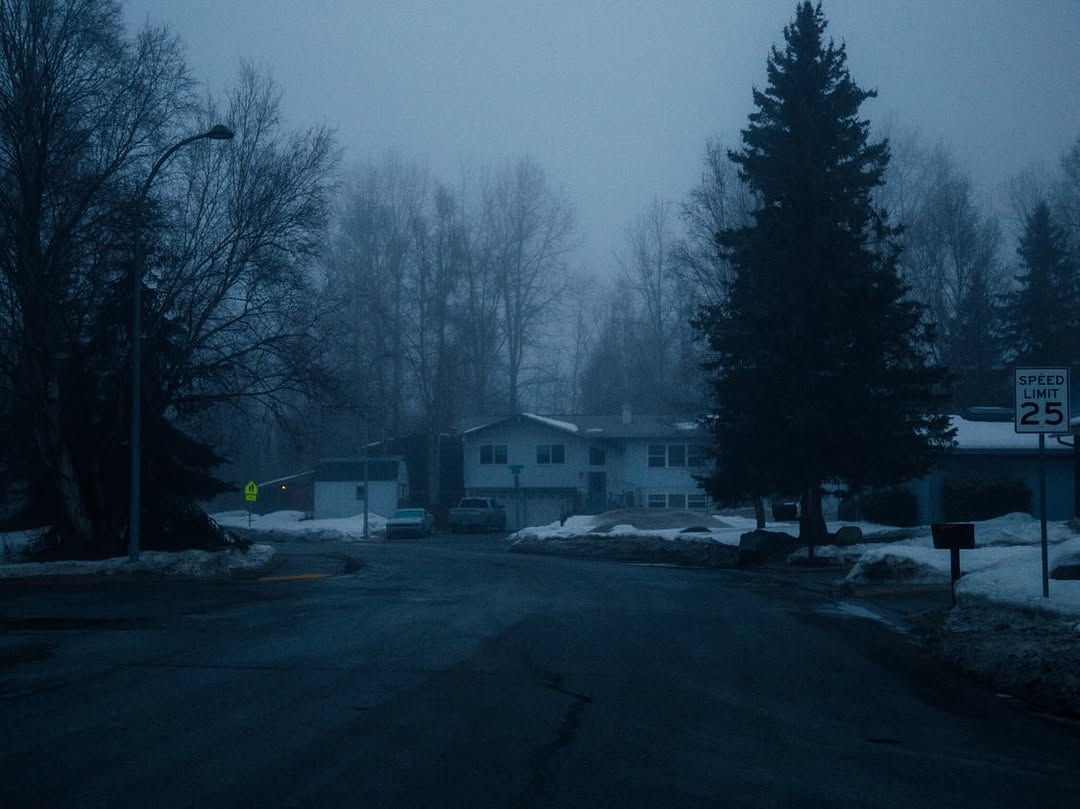 𝘄𝗮𝗻𝗱𝗲𝗿𝘁𝗿𝗮𝘃𝗲𝗹𝘀 tweet media