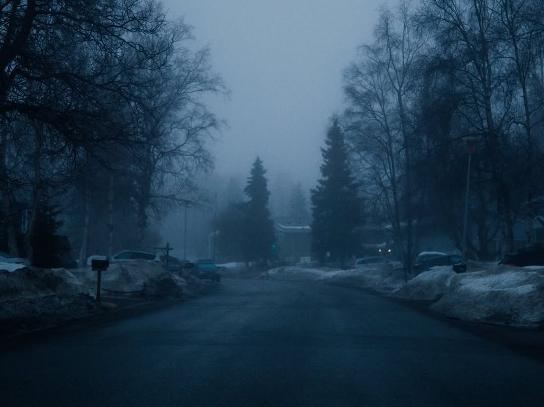 𝘄𝗮𝗻𝗱𝗲𝗿𝘁𝗿𝗮𝘃𝗲𝗹𝘀 tweet media