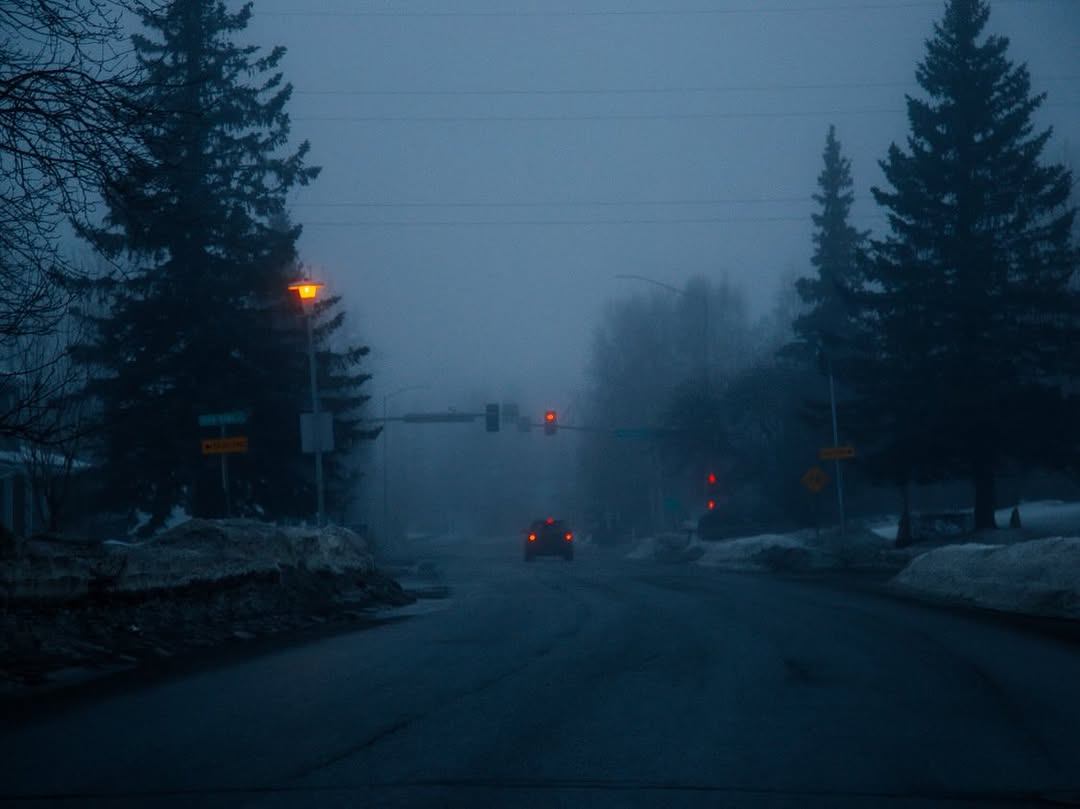 𝘄𝗮𝗻𝗱𝗲𝗿𝘁𝗿𝗮𝘃𝗲𝗹𝘀 tweet media