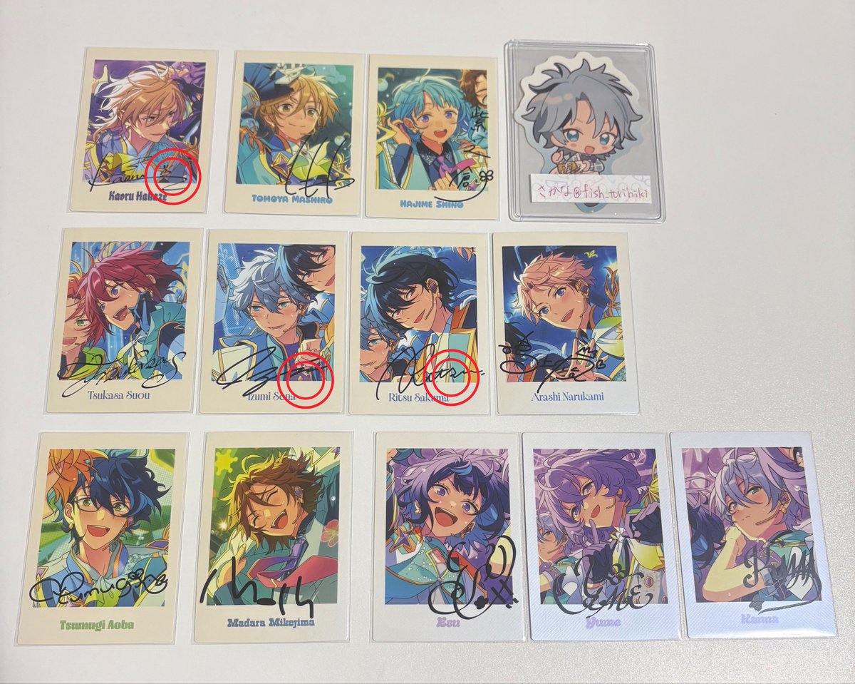 さかな🐟 tweet media