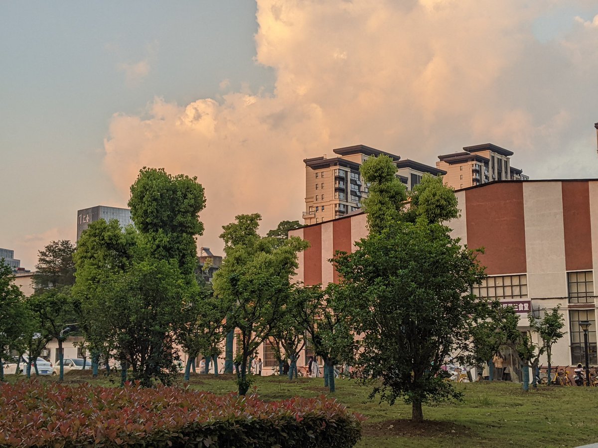 Lain_玲音🔜宁波、杭州 tweet media