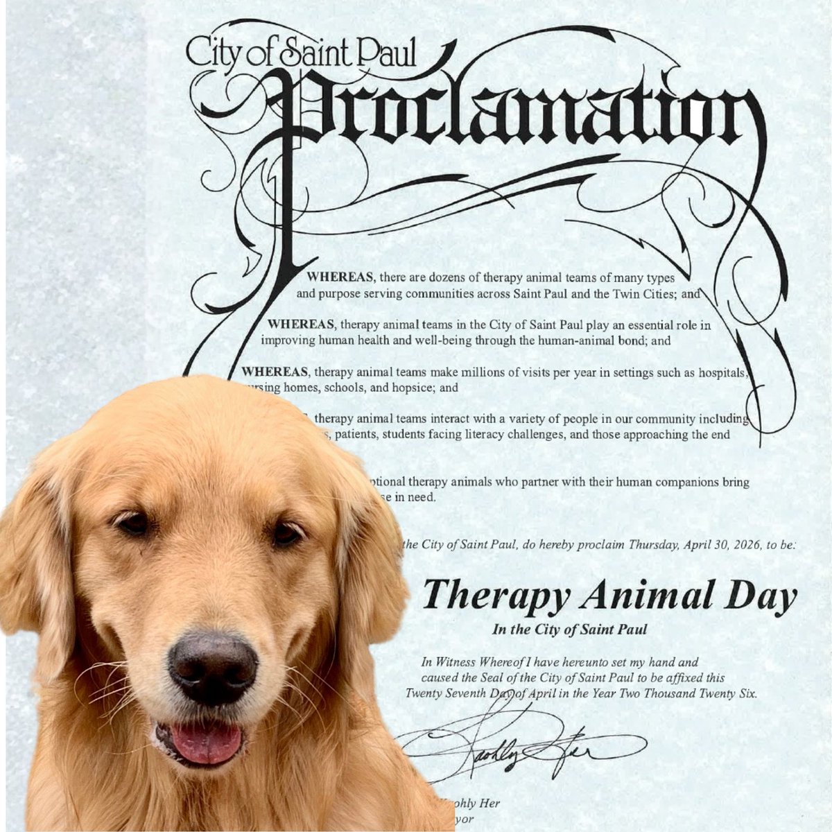nstamn's tweet photo. Thank you City of Saint Paul - Government for declaring tomorrow, April 30, as #NationalTherapyAnimalDay

Bella , pictured, spent much of her life volunteering in St. Paul spreading comfort and joy to many -  we celebrate her memory on this day as well. https://t.co/zVwPrTpBb9