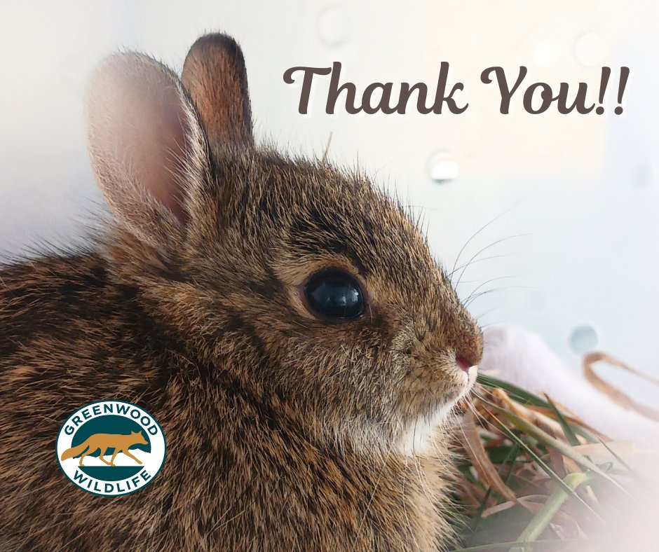 Greenwood_CO's tweet image. Thank you to all those that donated to our Spring Fundraiser! Because of your support, we met our goal, and we are now well-positioned to meet any challenge! 

#GreenwoodWildlife #SpringFundraiser #ThankYou #EmergencyPreparedness