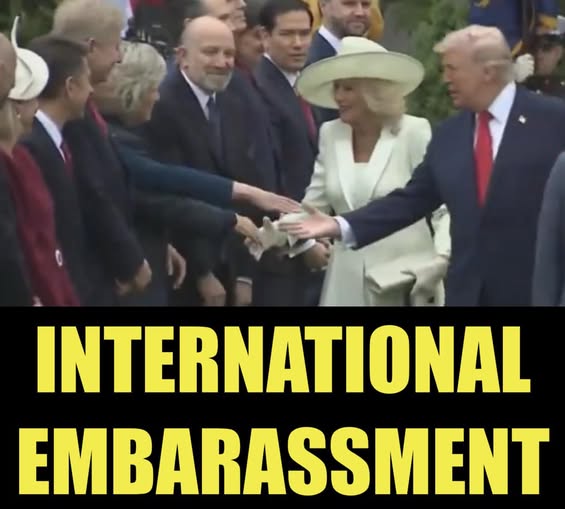 DonkConnects ♻️™ tweet media