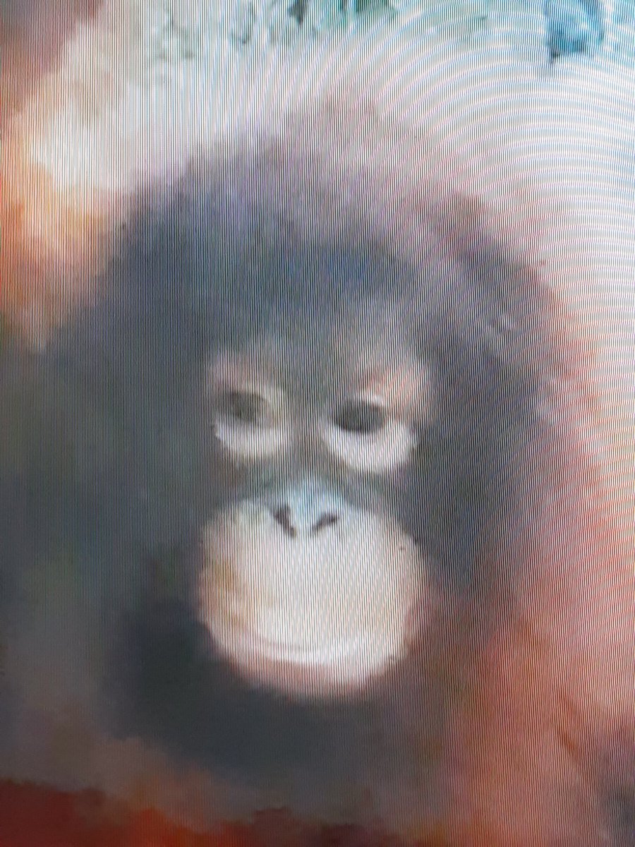 ウナムゲン tweet media