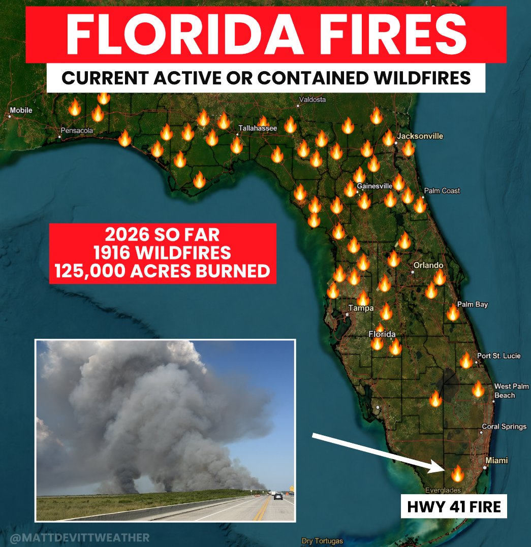 Matt Devitt tweet media