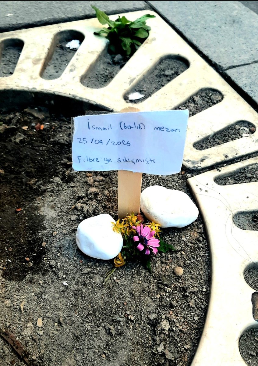 Kaan H. Ökten tweet media