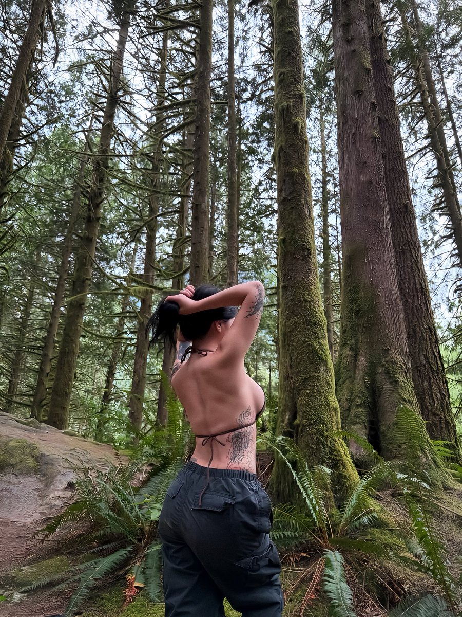 𑣿 , Serapɦ. tweet media