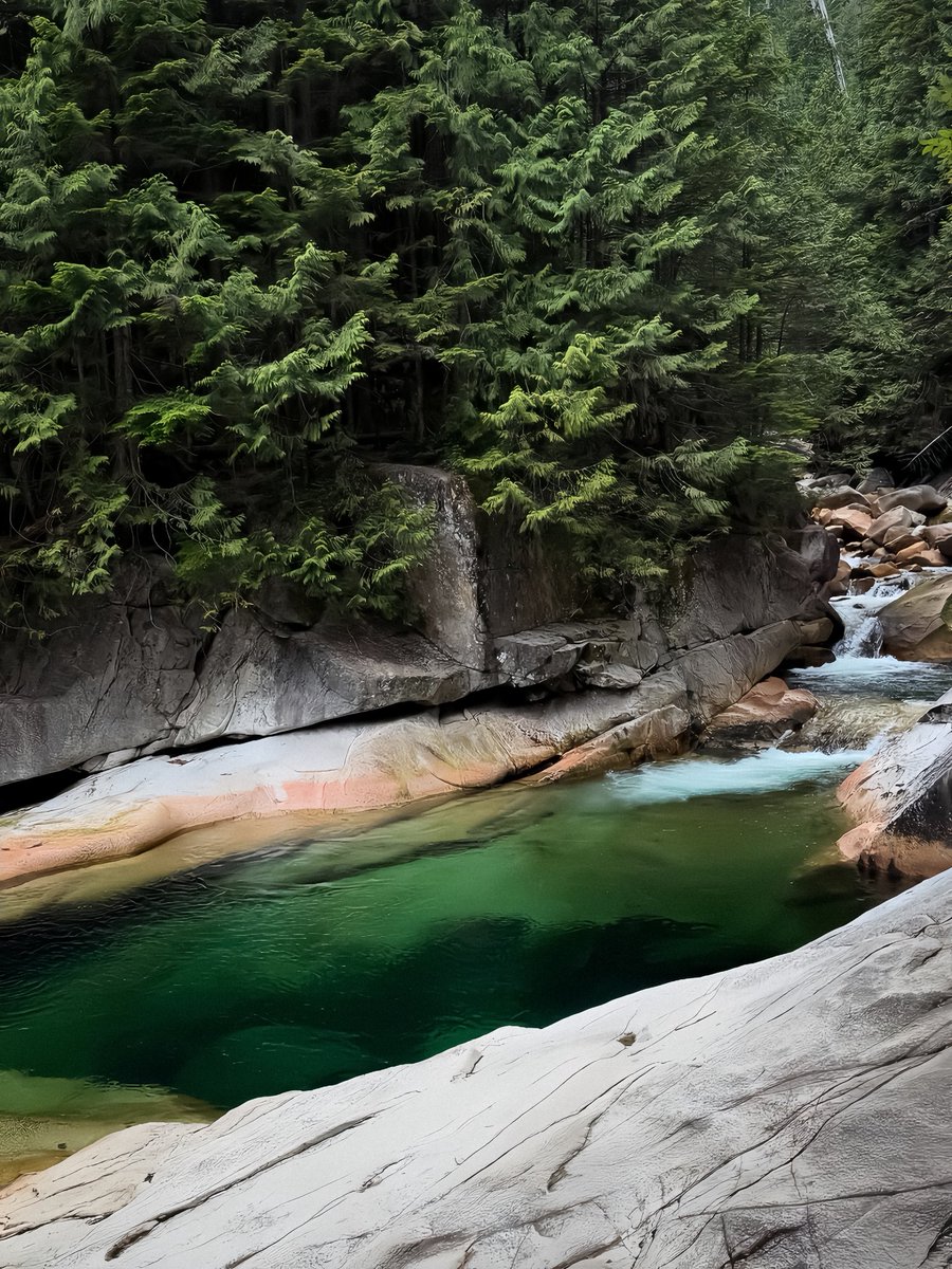 𑣿 , Serapɦ. tweet media