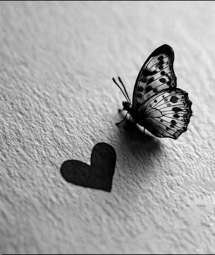 جــJano ــانـــو🦋🎻 tweet media