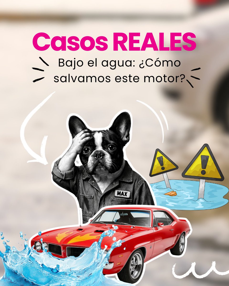 Comparaencasa tweet media