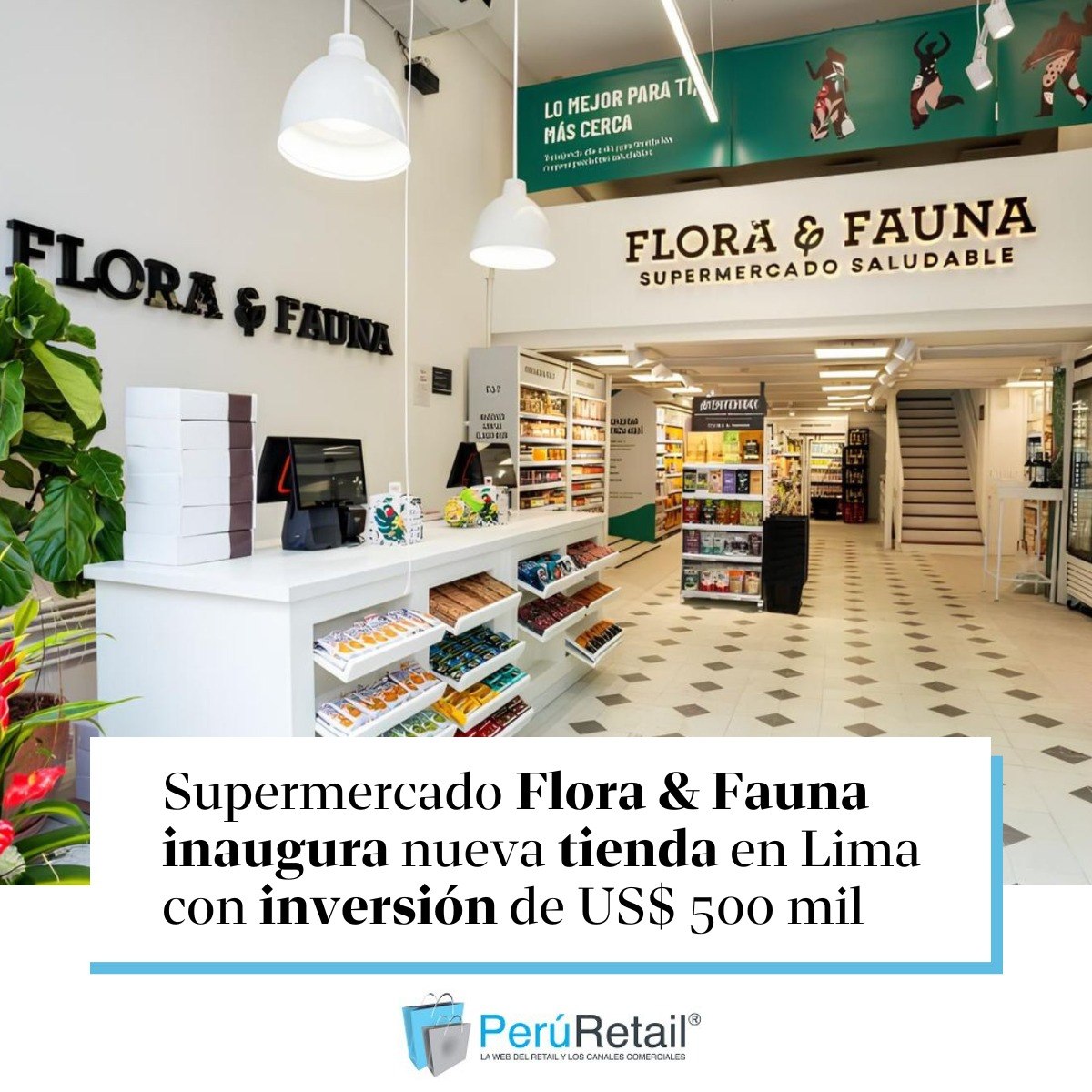 peruretail's tweet image. 🔴🛒 La cadena de supermercados saludables, liderada por la tercera generación de la familia Wong, continúa su expansión en Lima con una nueva apertura. Entérate aquí. ► zurl.co/4NGuk

#supermercado #retail #expansión