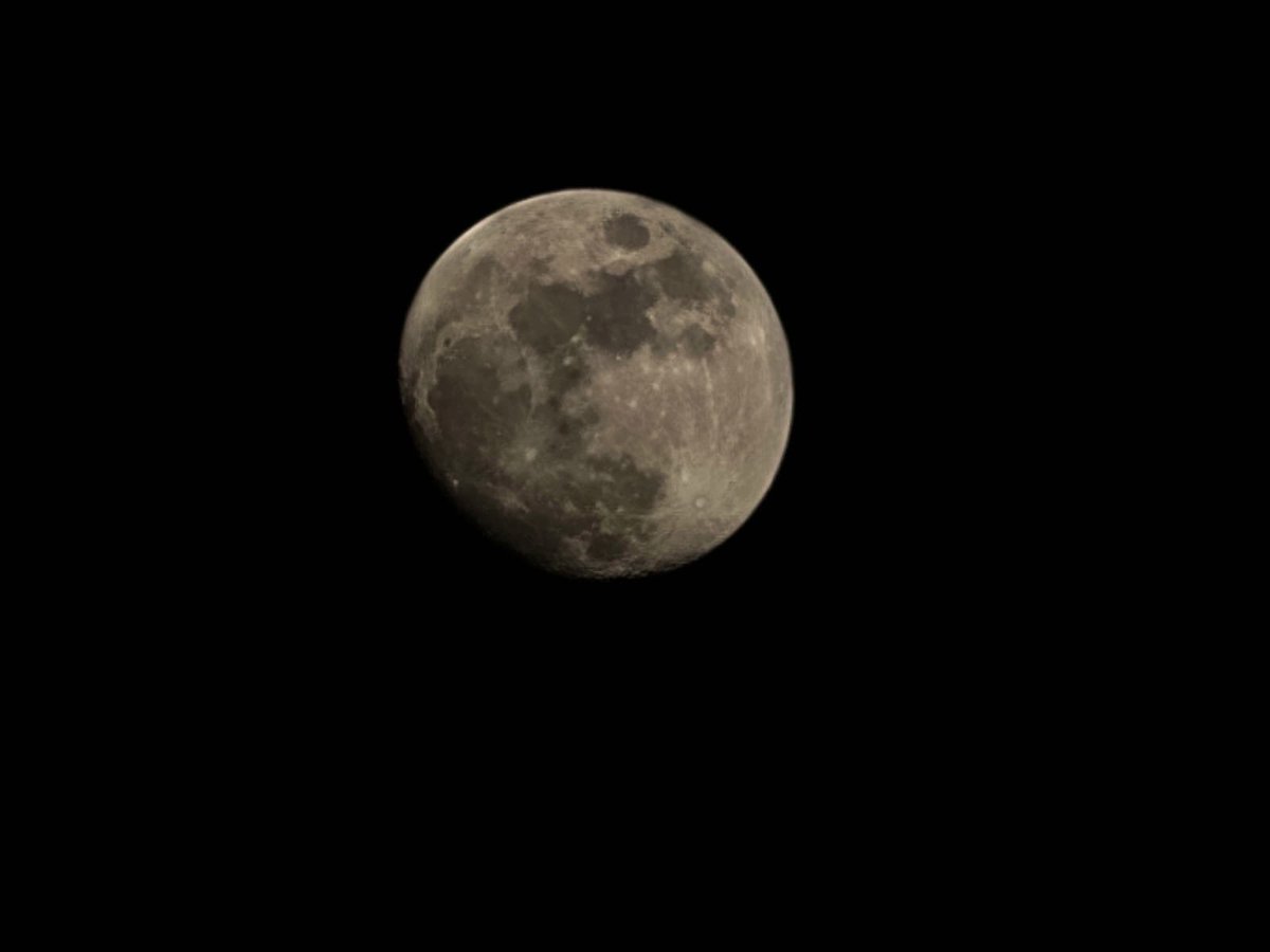 rosie_mann1's tweet photo. ~ 

warm breeze, 
a sweet melody 

and 

the #moontonight 

~ https://t.co/XoeTNDJrRa