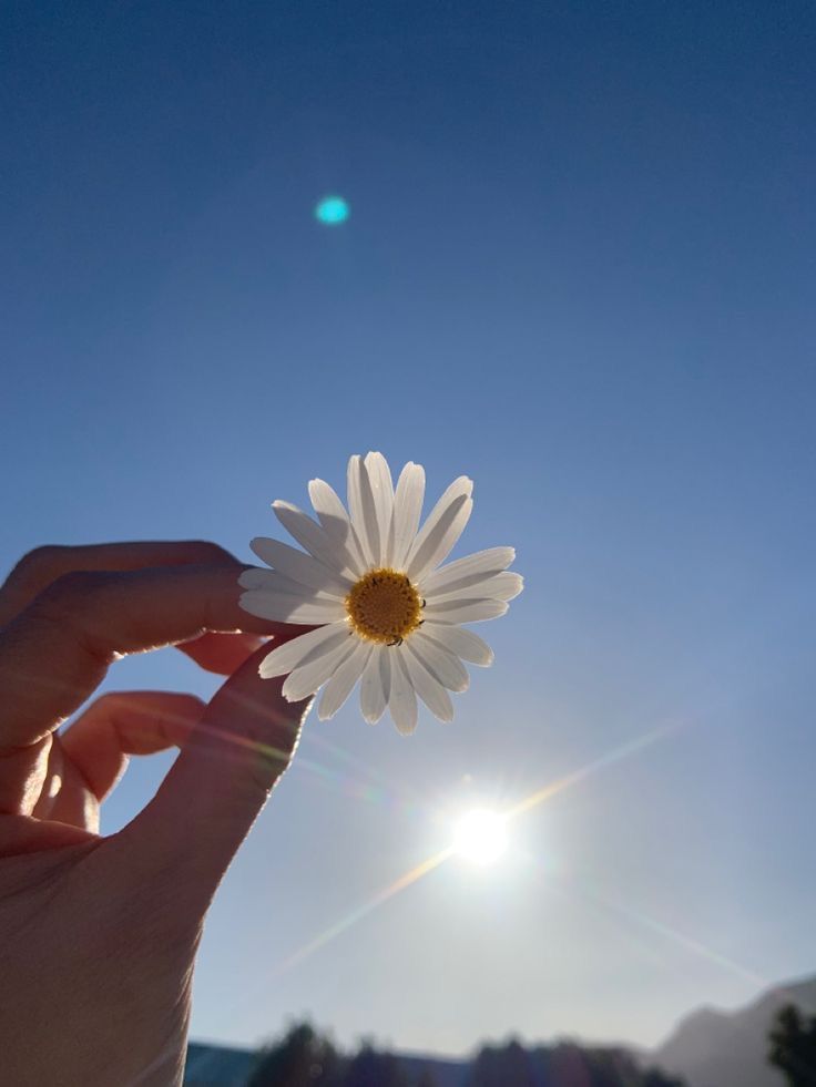 Mueddeb_h's tweet photo. Bahar insanın içinde 💐🌼☀️ https://t.co/A0oPVWblyl
