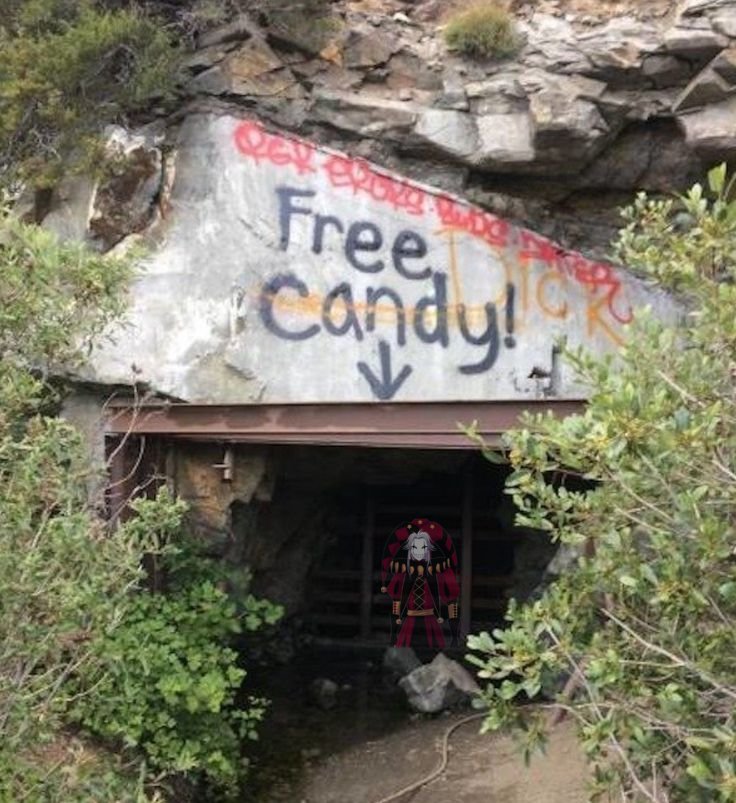 ᅟ ᅟ 𓏸 ՙִՙ 𝕻𝐢͟𝐞𝗿͡𝗿͜𝗼𝘁 𓂃 tweet media