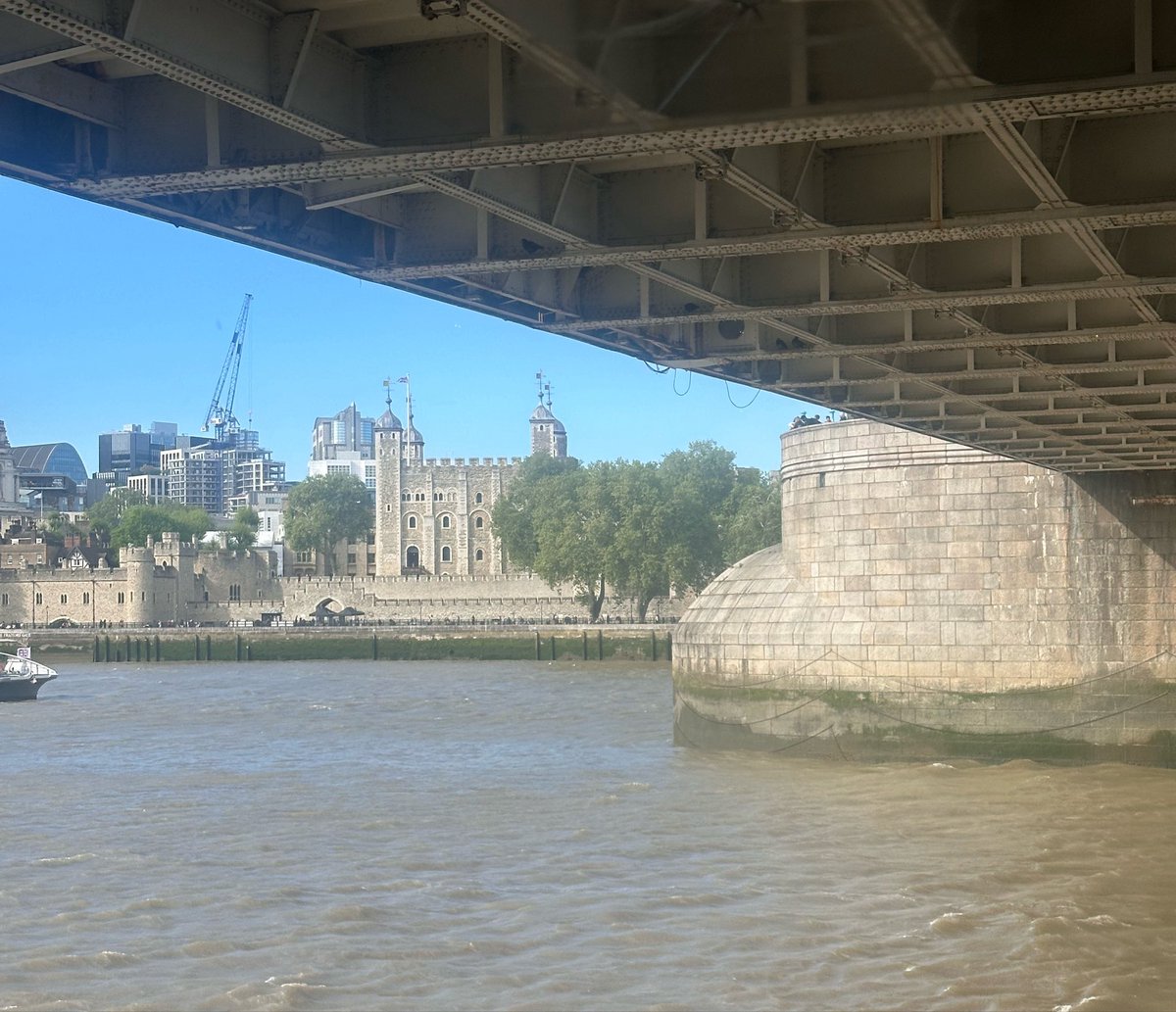 Mike Graham 🇬🇧 tweet media