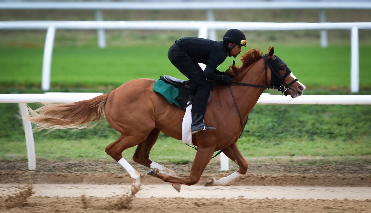 Sequel at Winding Oaks tweet media