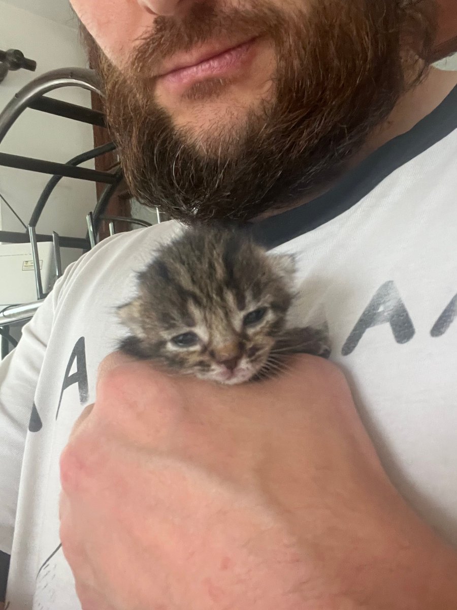 Дорогой Иван Эдуардович 🐋 tweet media