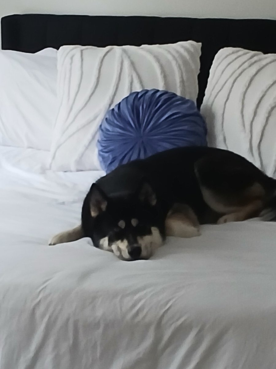 Rob Daudelin tweet media