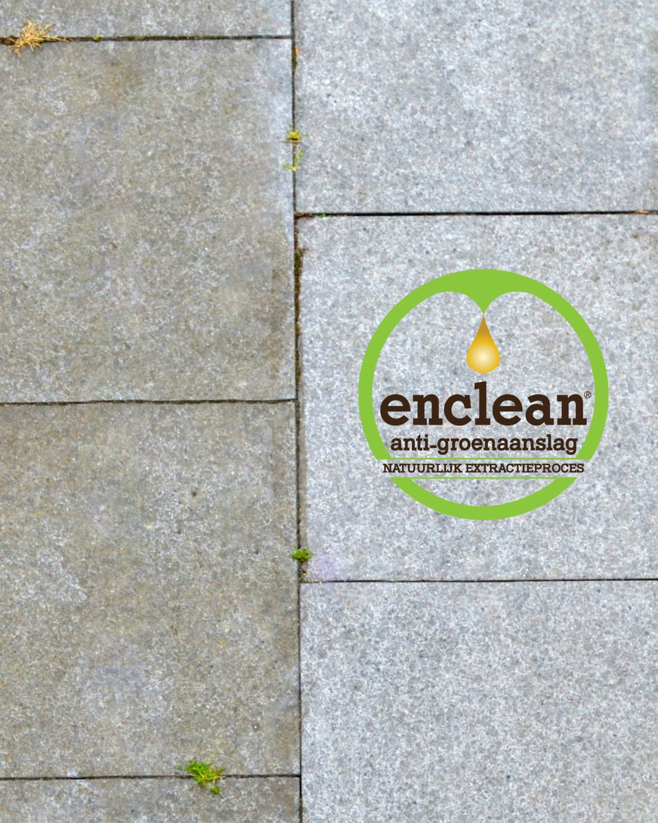 CB_Amenity_UK's tweet photo. Enclean® is a fast-acting, biodegradable solution designed to remove green deposits from hard surfaces, without the need for harsh chemicals or intensive scrubbing.⁠
⁠
✅ Safe for use on pavements, patios, and other amenity areas⁠
✅ Starts working within hours to restore clean, slip-free surfaces⁠
✅ Environmentally friendly and easy to apply⁠
⁠
Keep your public spaces looking pristine and safe this spring with Enclean® 
⁠
 #SurfaceCare #SustainableSolutions #Maintenance
